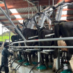 blog-advanced-modern-dairy