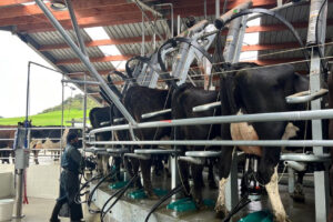 blog-advanced-modern-dairy