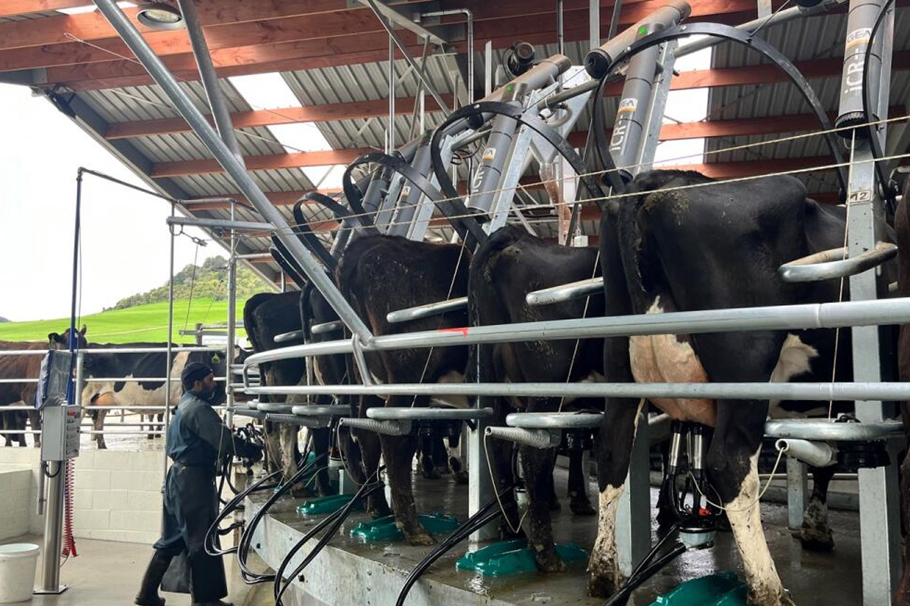 blog-advanced-modern-dairy